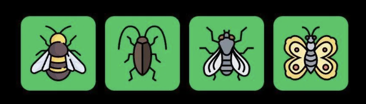 FLIES Daily Combo 16 June 2025